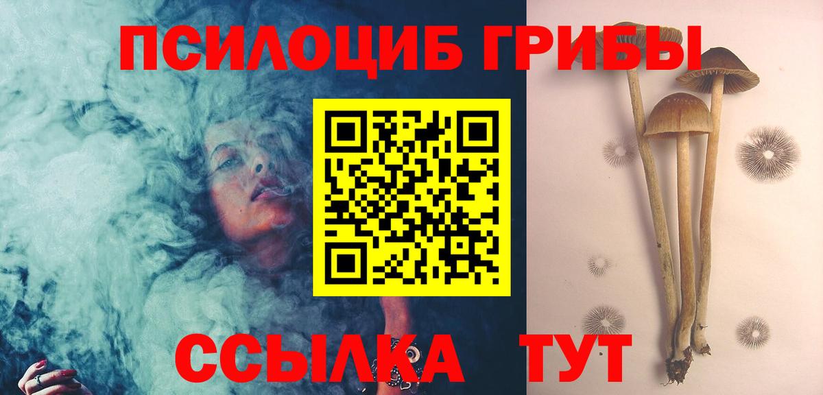 Псилоцибиновые грибы Psilocybe Мценск