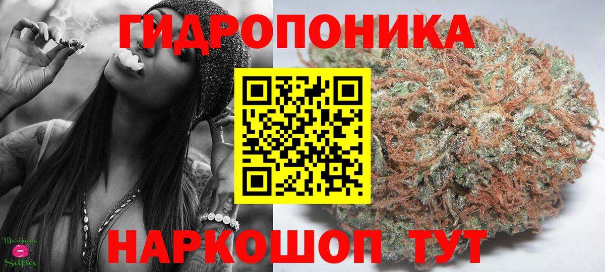 Конопля VHQ  Конопля семена  Шишки марихуана MAZAR  Мценск  Бошки марихуана LSD WEED  Вход с VPN 